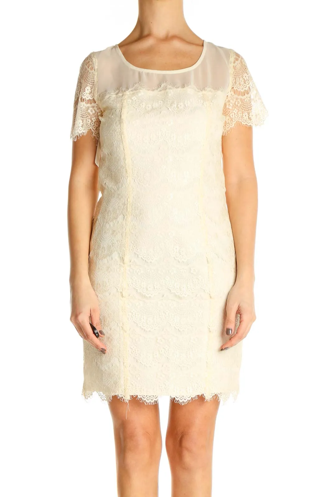 Beige Lace Day Sheath Dress