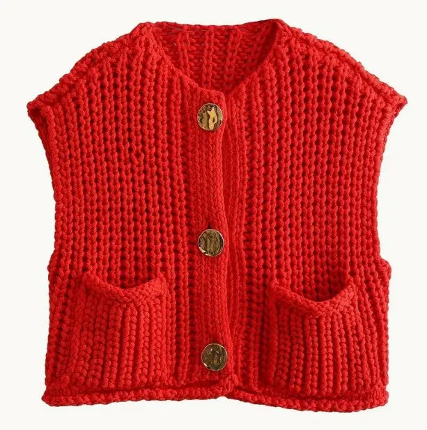 Cozy Sweater Vest